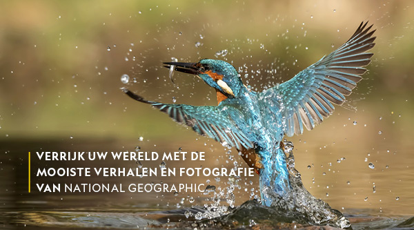 Product banner afbeelding
