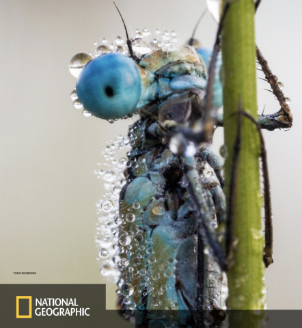 National Geographic Magazine 20 jaar jubileumeditie