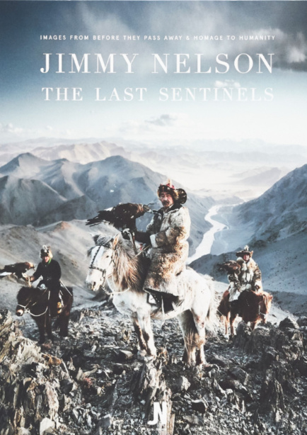 Cover boek The Last Sentinels